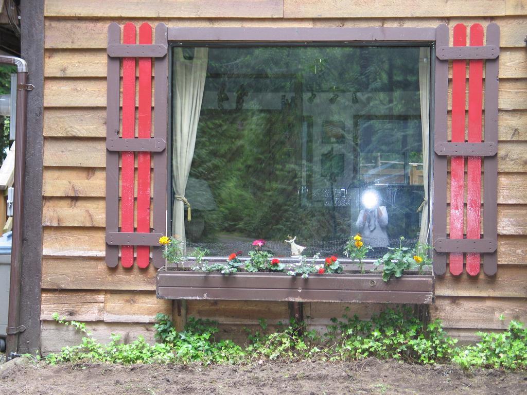 Cedar Song B&B Парксвілл Екстер'єр фото